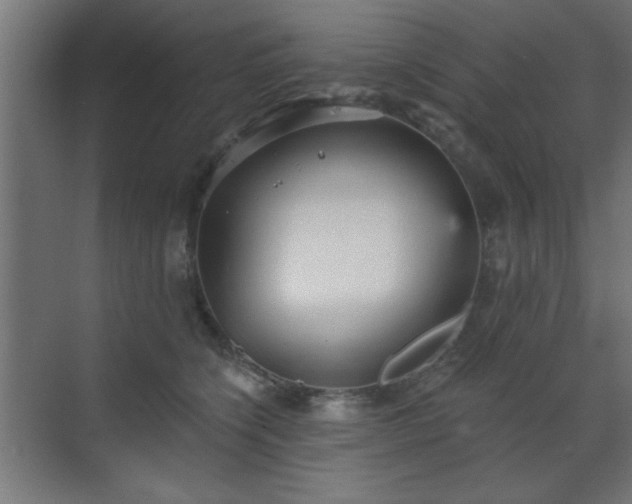 X0000070860564200606191319