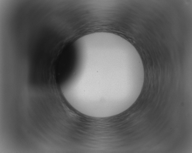 X0000070860570200606191319