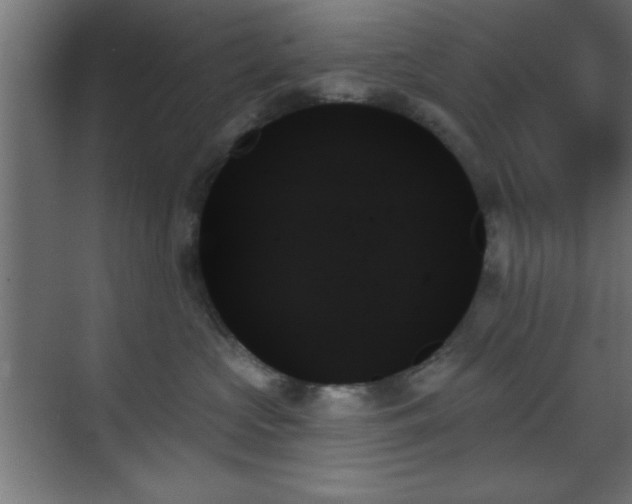 X0000070860573200606191319