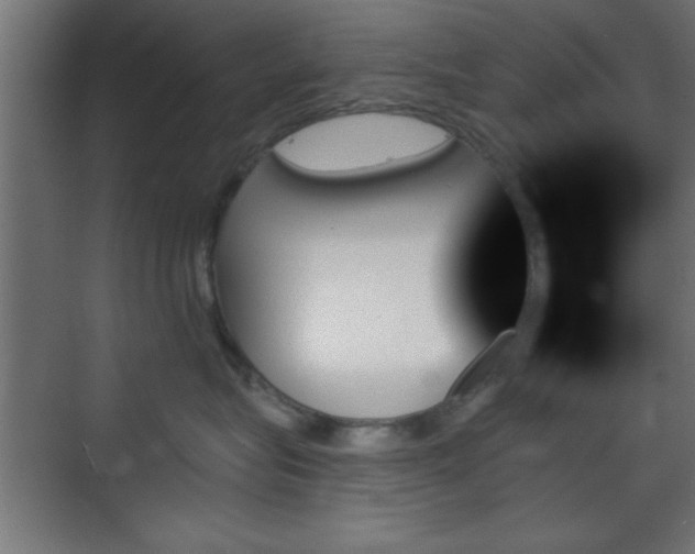 X0000070860575200606191319