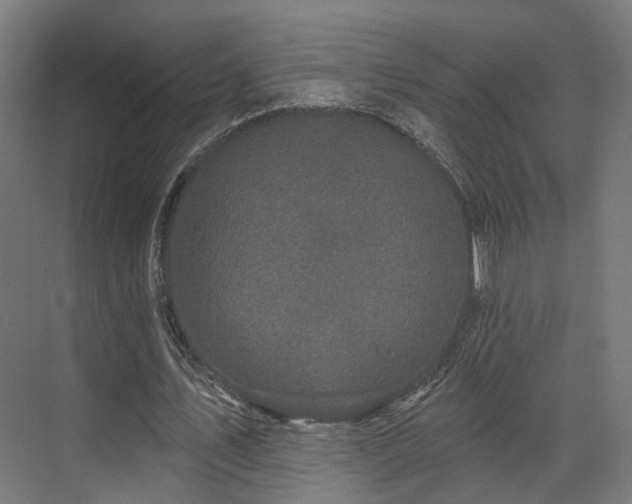 X0000070860579200606191319