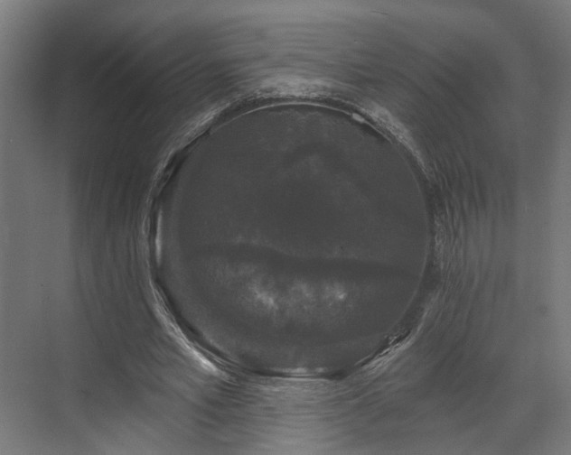 X0000070860581200606191319