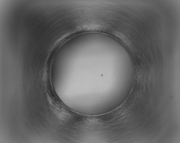 X0000070860583200606191319