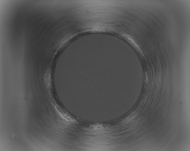 X0000070860588200606191318