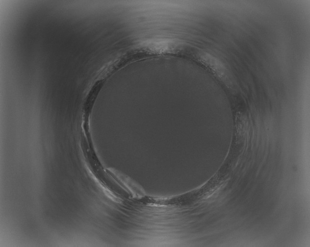 X0000070860590200606191318