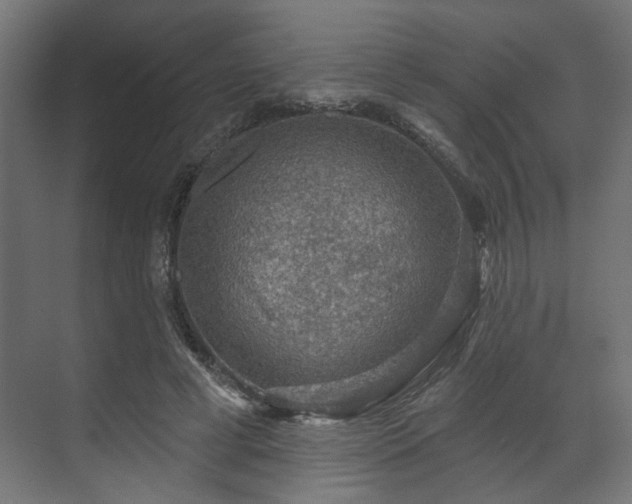 X0000070860593200606191318