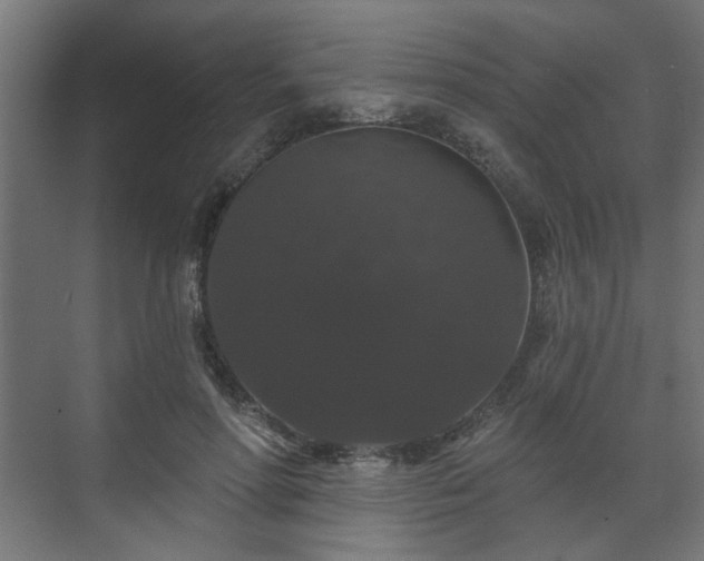 X0000070860598200606191318