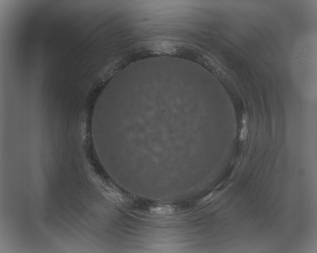 X0000070860600200606191318