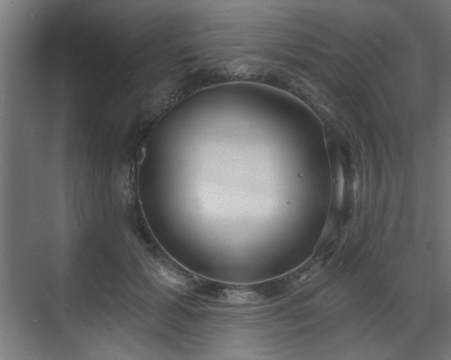 X0000070860605200606191318
