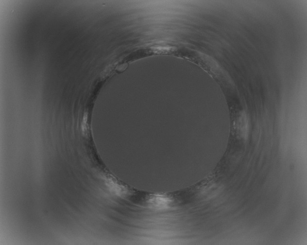 X0000070860610200606191318