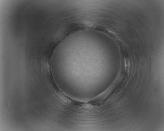 X0000070860613200606191318