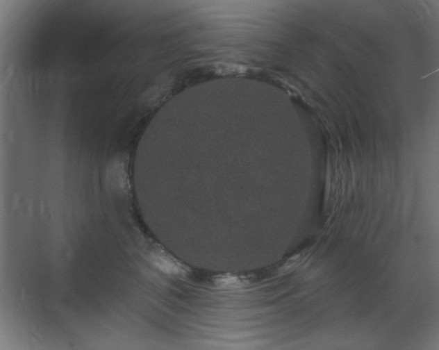 X0000070860616200606191318