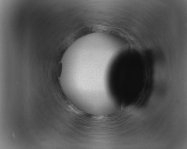 X0000070860621200606191318