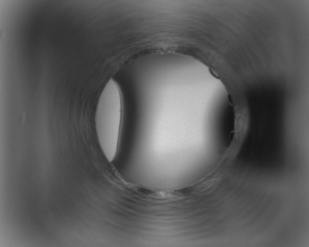 X0000070860623200606191318