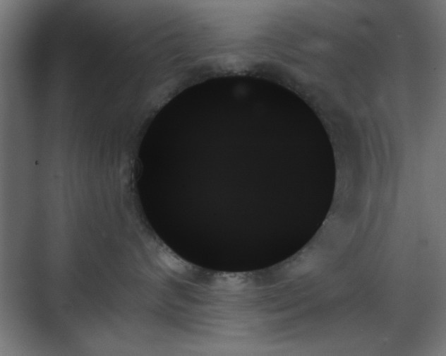 X0000070860624200606191318