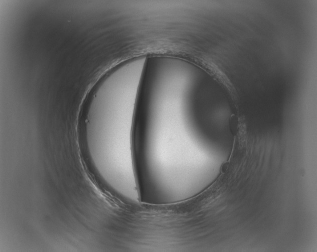 X0000070860626200606191317