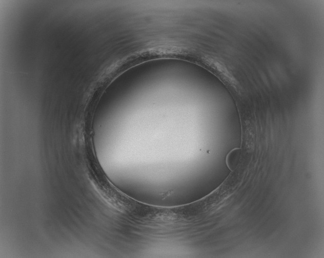 X0000070860631200606191317