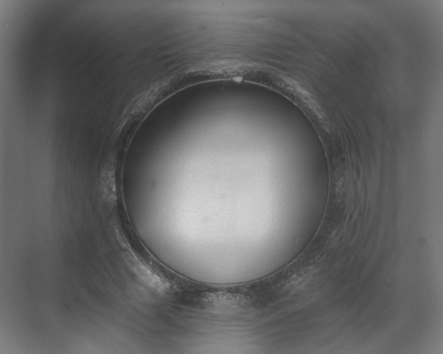 X0000070860633200606191317