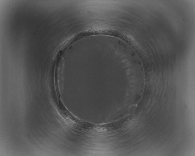 X0000070860640200606191317