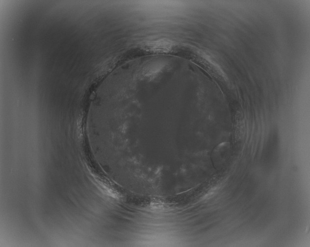 X0000070860641200606191317