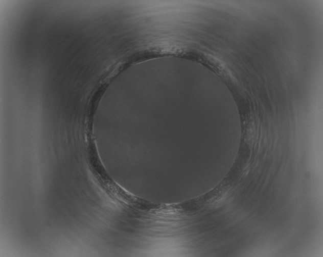 X0000070860643200606191317
