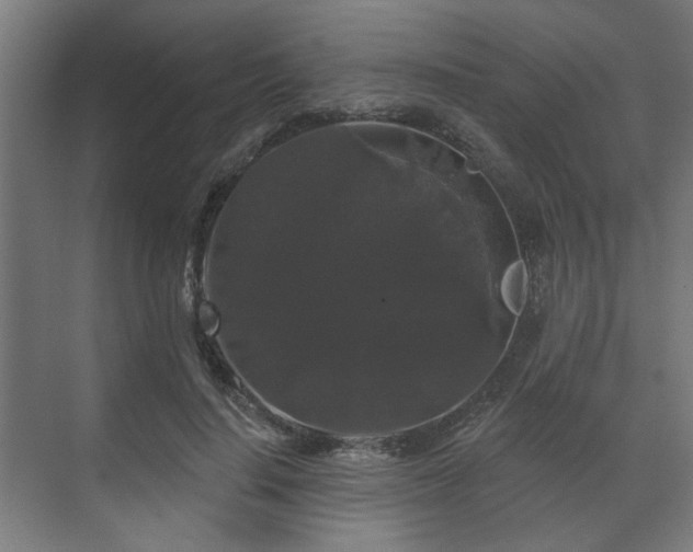 X0000070860644200606191317