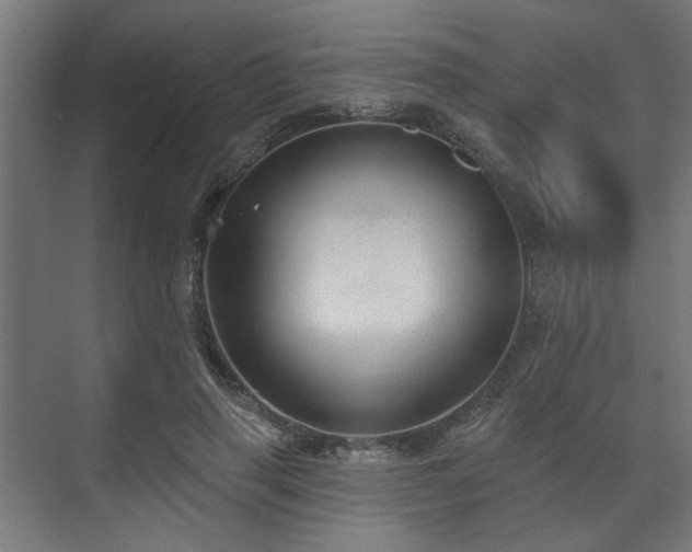 X0000070860645200606191317