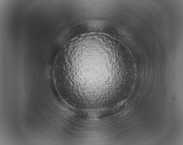 X0000070860649200606191317