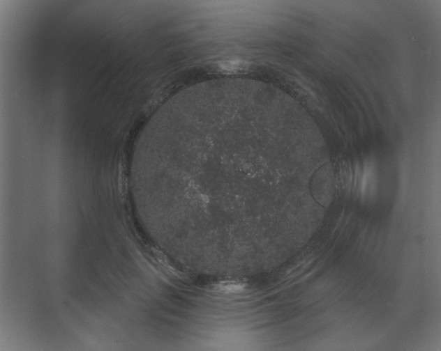 X0000070860651200606191317