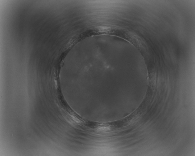 X0000070860653200606191317