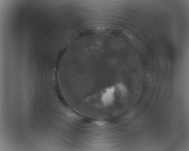X0000070860654200606191318