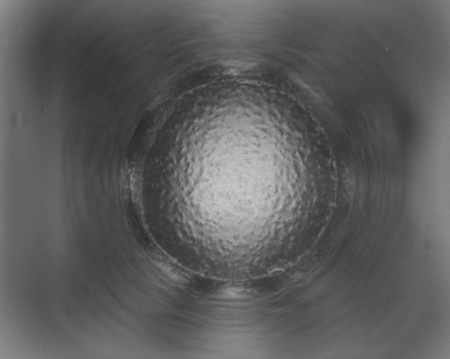 X0000070860657200606191318