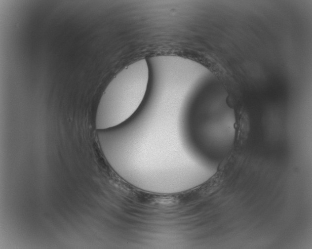 X0000070860659200606191318