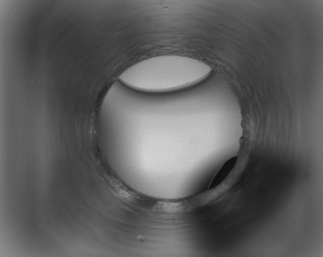 X0000070860665200606191318