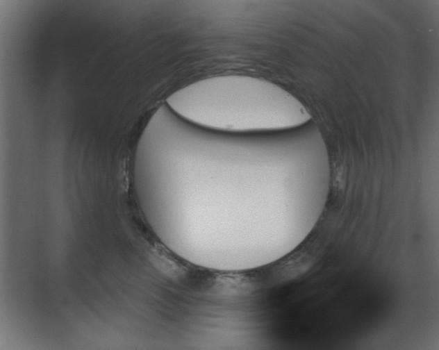 X0000070860666200606191318