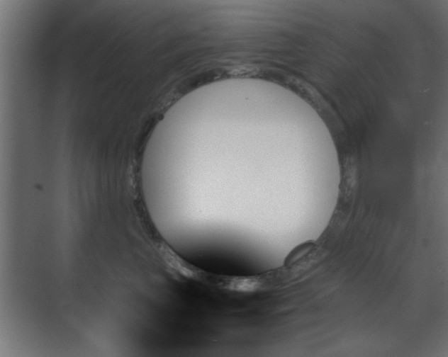 X0000070860667200606191318