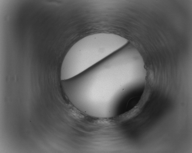 X0000070860668200606191318