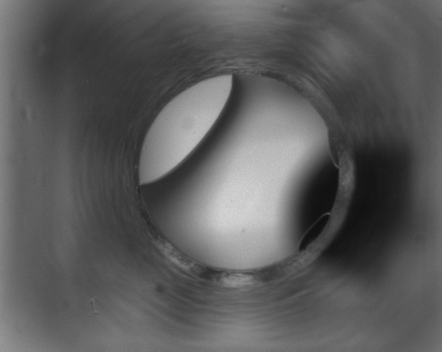 X0000070860669200606191318