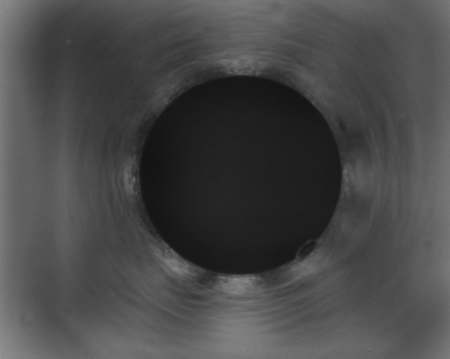 X0000070860671200606191318