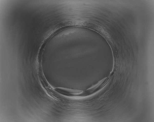 X0000070860674200606191317