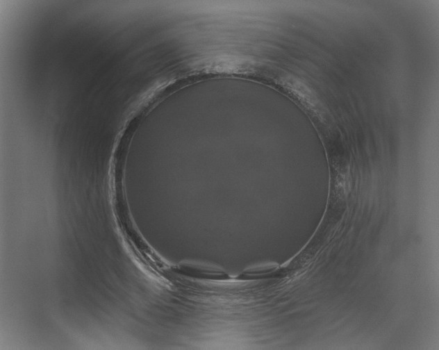 X0000070860678200606191317