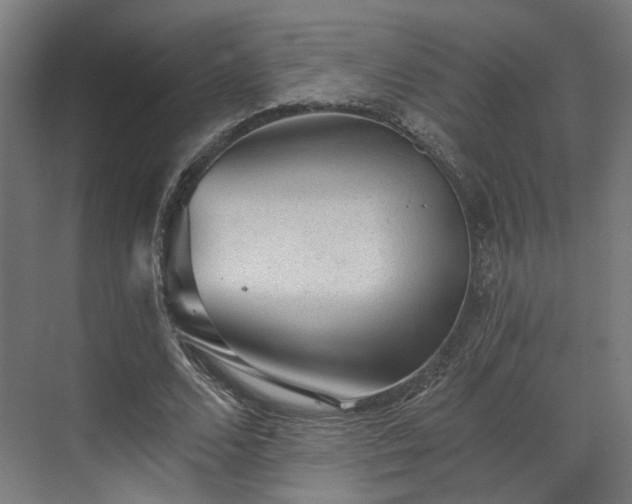 X0000070860680200606191317