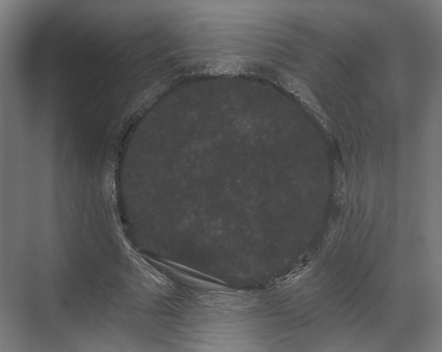 X0000070860681200606191317