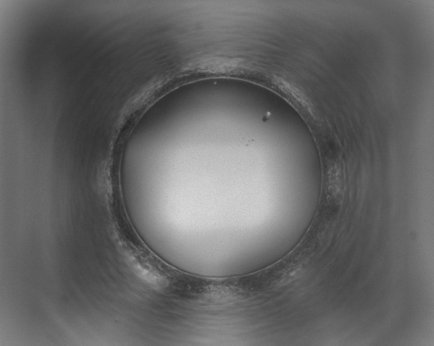 X0000070860682200606191317
