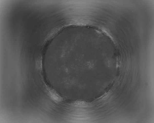 X0000070860685200606191317