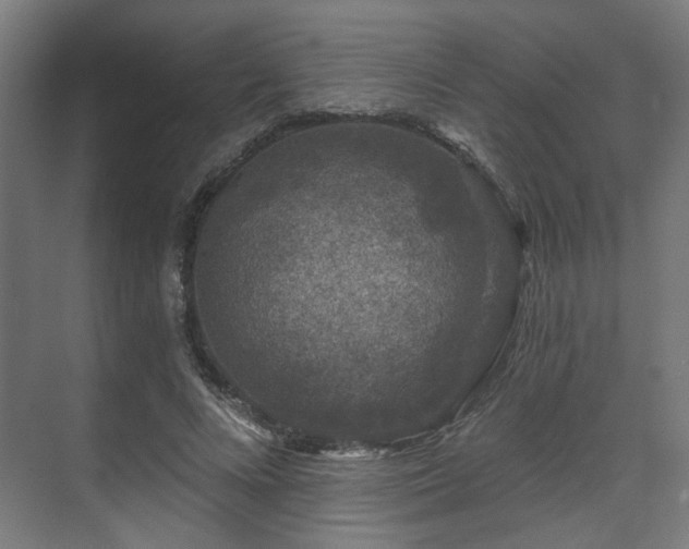 X0000070860688200606191317