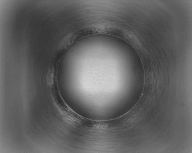 X0000070860694200606191317