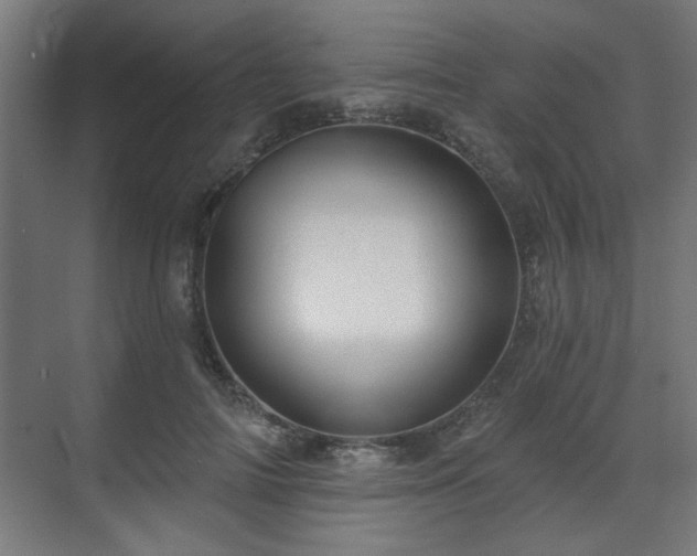 X0000070860698200606191317