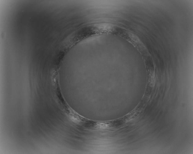 X0000070860701200606191317