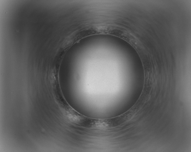 X0000070860702200606191317